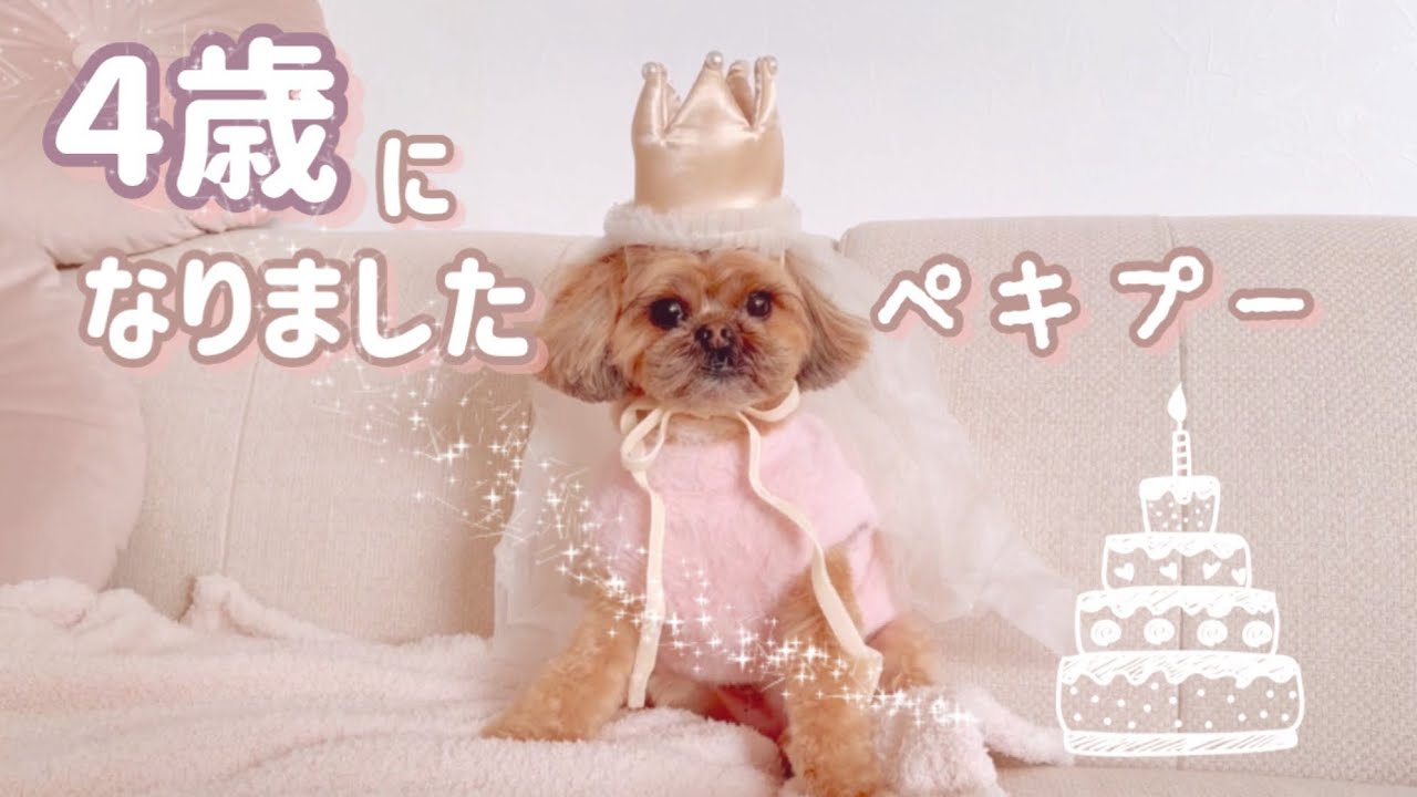 ぼくもお兄さんになりました！