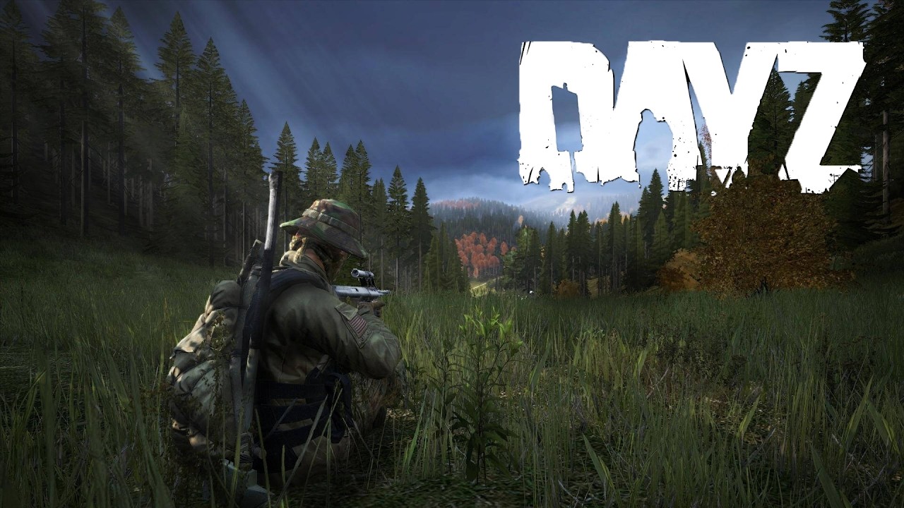 DayZ Survival | Interactions