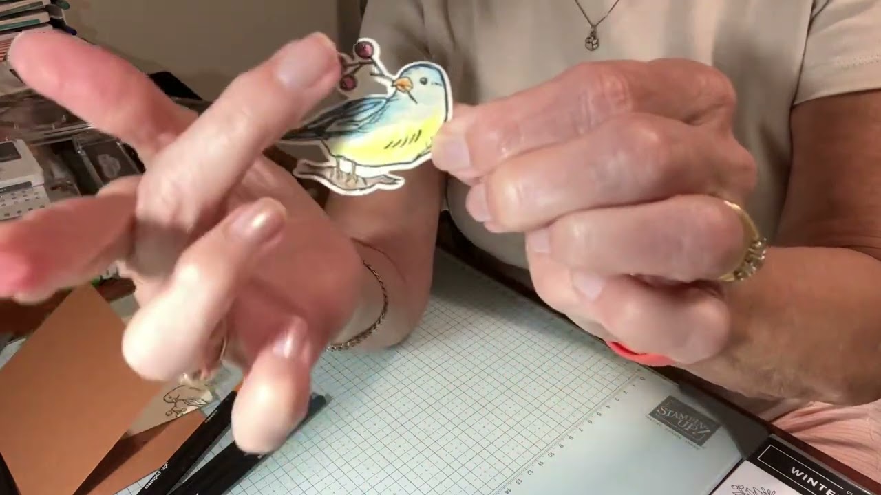 Watercolor pencils on a die cut bird