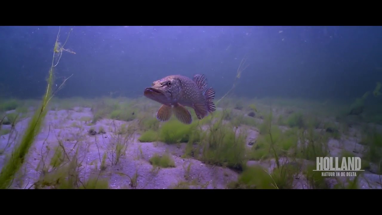 Een nieuw natuurgebied