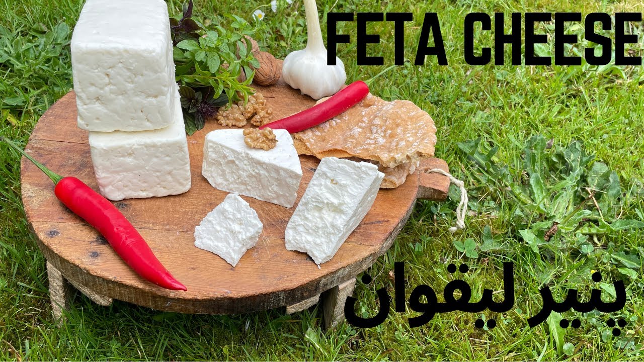 طرز تهیه پنیر لیقوان با شیر گوسفند🐑🥛🧀  Lighvan Cheese(Sheep milk Feta)