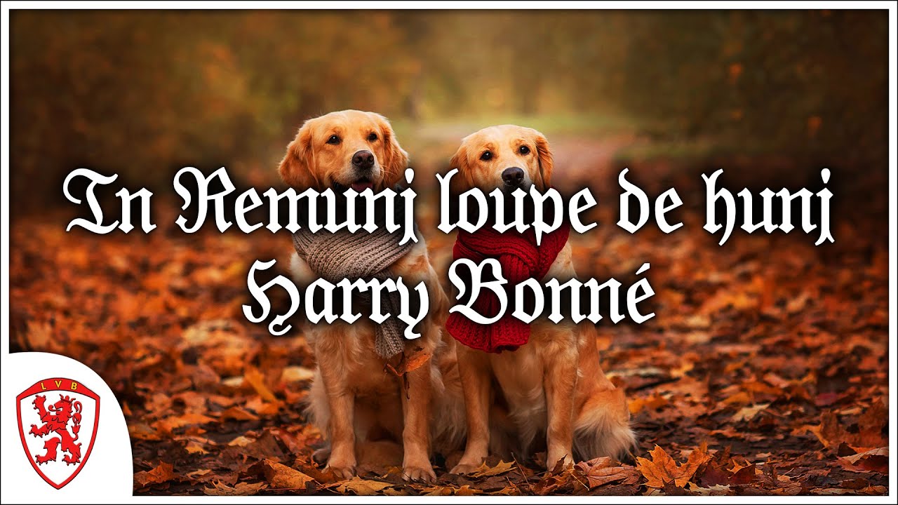 In Remunj loupe de hunj - Harry Bonné [Songtekst]