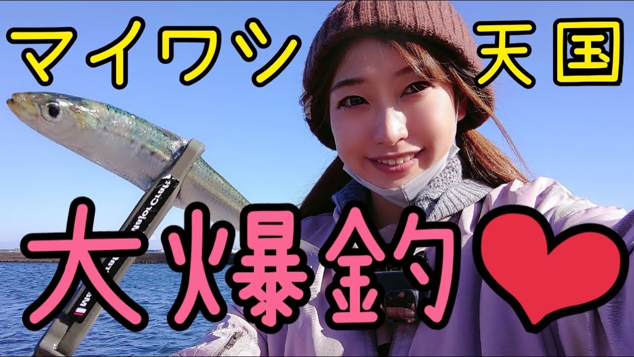 【木更津内港公園】朝マヅメで爆釣！足元で入れ食い状態✨