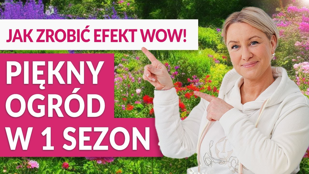 Stwórz PIĘKNY OGRÓD OD RAZU! Sprawdzone TRIKI na efekt WOW w każdym ogrodzie | GREEN CANOE