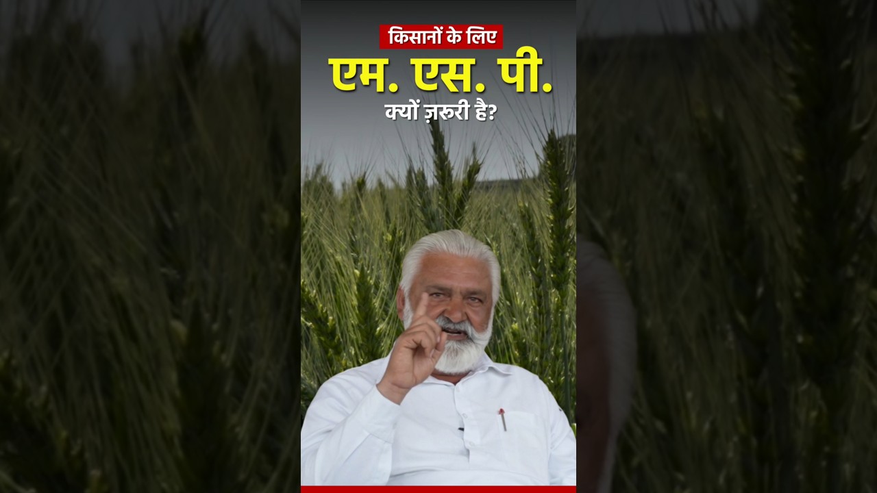 Why #MSP is important for farmers ? #farmingvideos #kheti #msp #minimumsupportprice