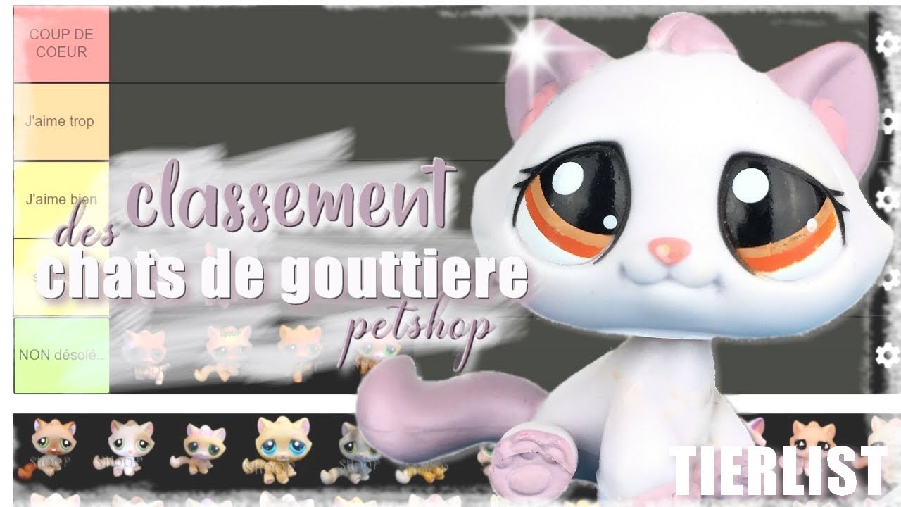 #3 Tier-list PETSHOP [chats de gouttière]