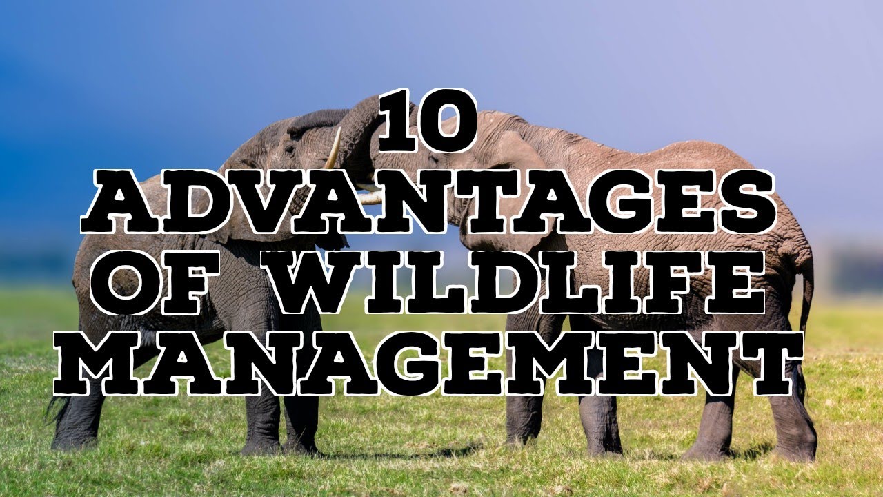 10 ADVANTAGES OF WILDLIFE MANAGEMENT