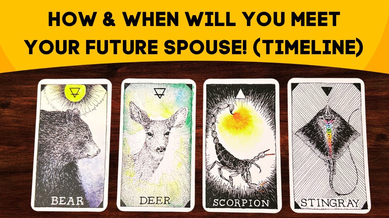 ♥️✨How & When Will You Meet Your Future Spouse? (Detailed Timeline & Clues!)✨♥️