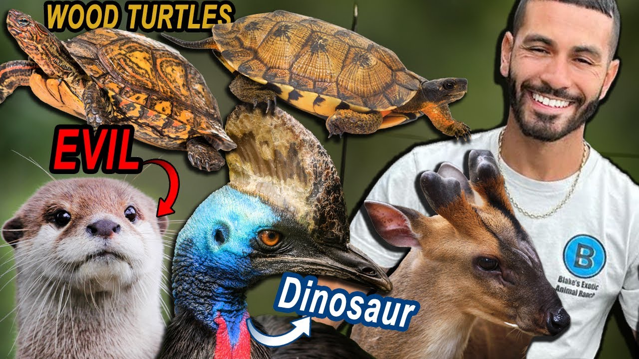 Blakes Exotic Animal Ranch Full Tour 2024!