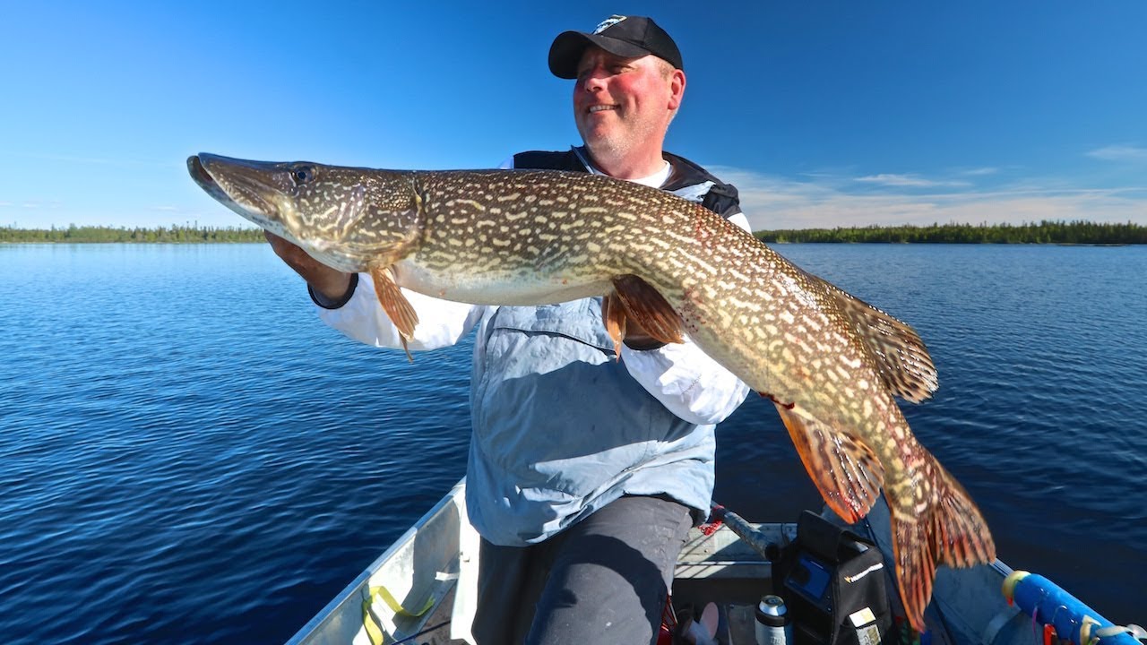 Another Trophy Kistigan Lake Pike!
