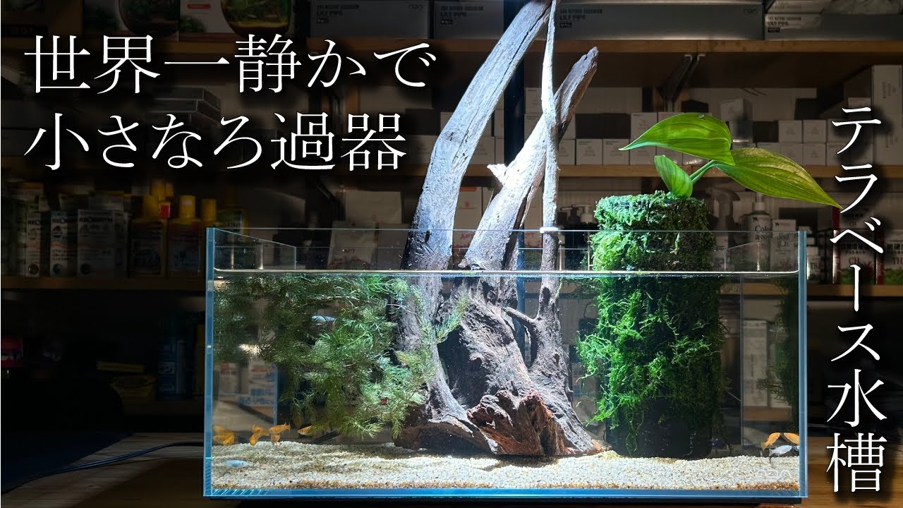 【静寂のろ過器】45cmレイアウト水槽をテラベースで立ち上げる〜アクアリウムin地球93