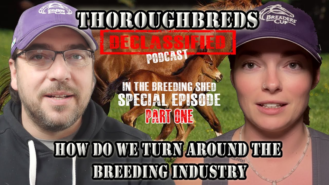 The Future of Thoroughbred Breeding: Navigating the Decline in Foal Crops. Part 1