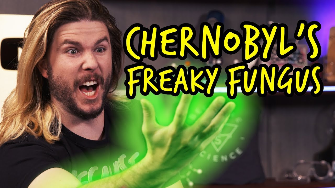The Organism that Eats Radiation | Because Science Footnotes