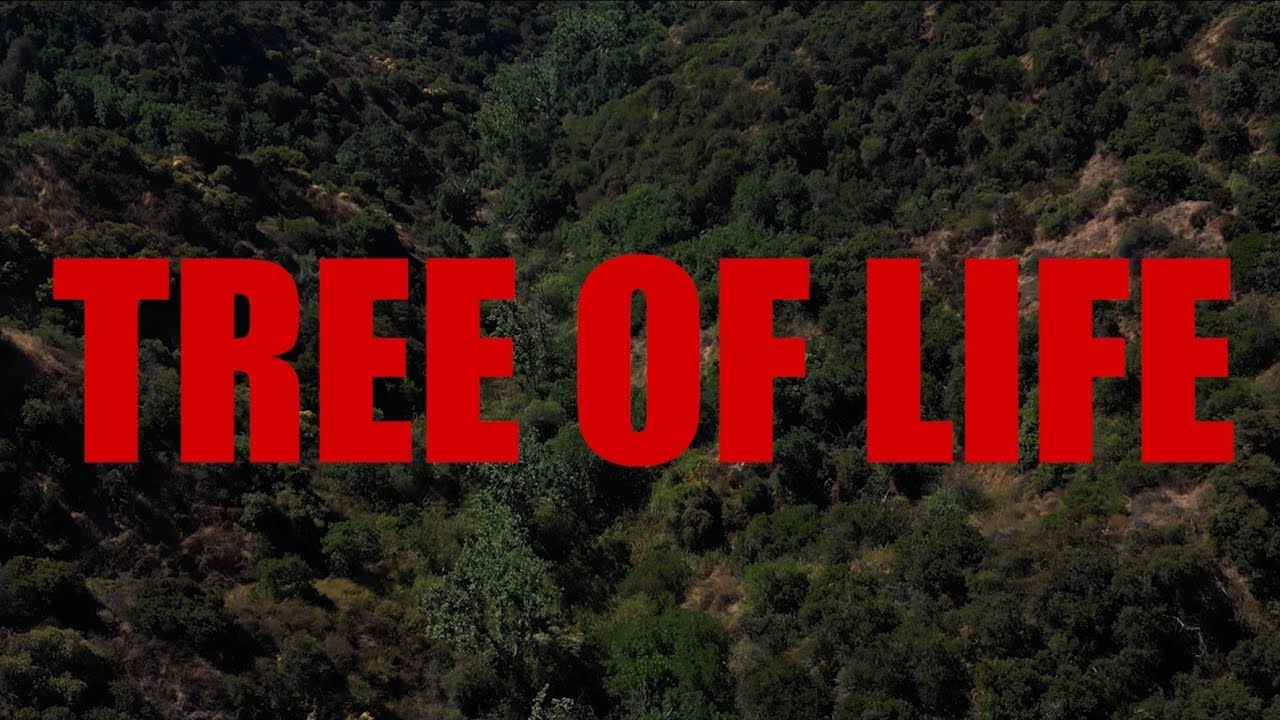 SmooveLee - TREE OF LIFE (Official Music Video)