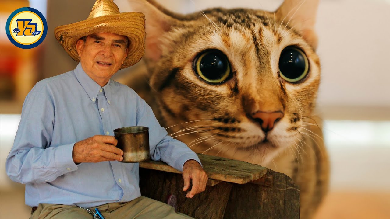 EL PELLEJO DEL GATO 😺 | Lencho Catarran | Aniceto Prieto
