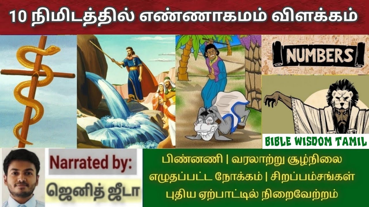 எண்ணாகமம் விளக்கம் | Numbers bible study tamil | Ennagamam vilakkam | Tamil Bible Wisdom | Torah