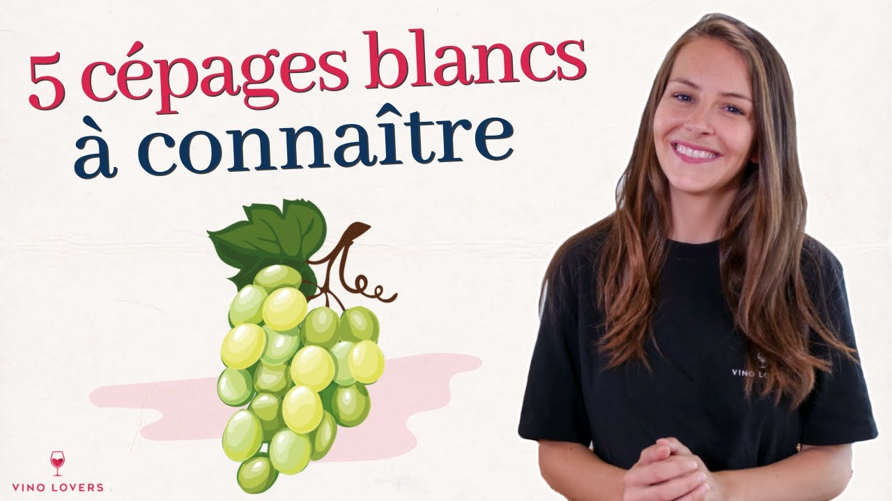 5 cépages blancs à connaître absolument (chardonnay, sauvignon blanc, riesling, chenin, viognier)