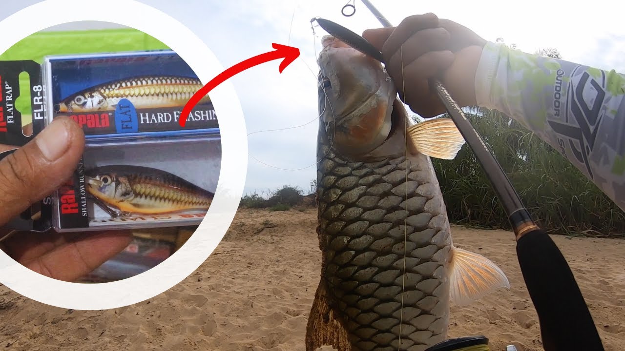 HATI-HATI CASTING HAMPALA PAKAI DUA LURE DARI RAPALA INI!! HAMPALA NGILER LIHAT LURE INI