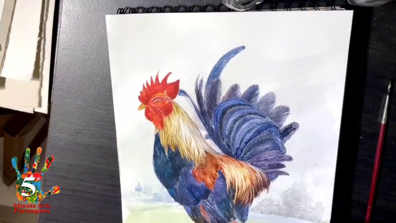 the cock 