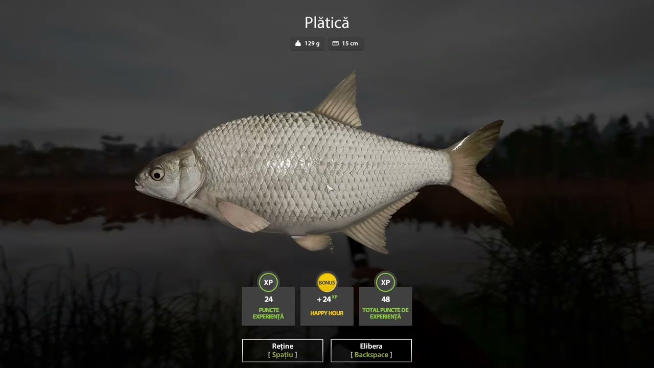 Russian Fishing 4 2026 platica
