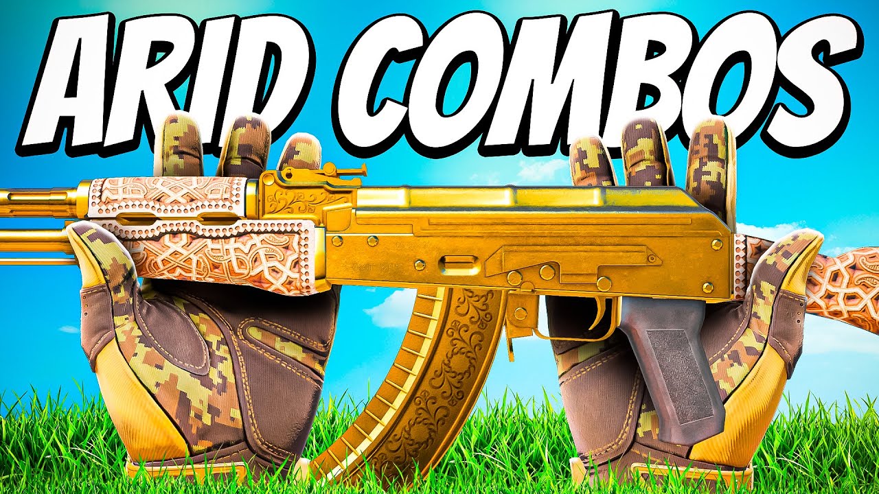 The BEST Combos for Arid Gloves in CS2! (2025)