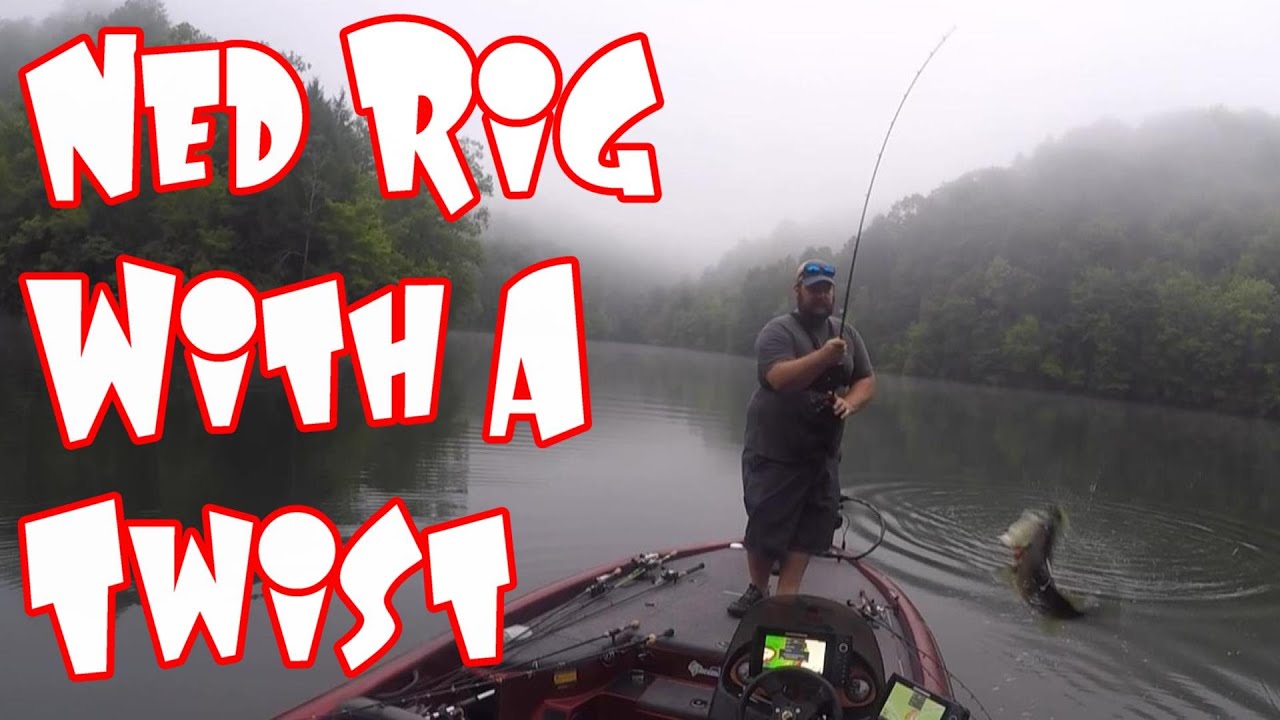 New Baits for the Old Ned Rig!