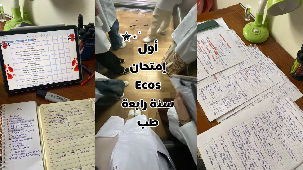 مظغوطين و ندرس لاول امتحان / تحفيز انك تدرس مهما تراكمت عليك الدروس لانك توصل بإذن الله💜|med student