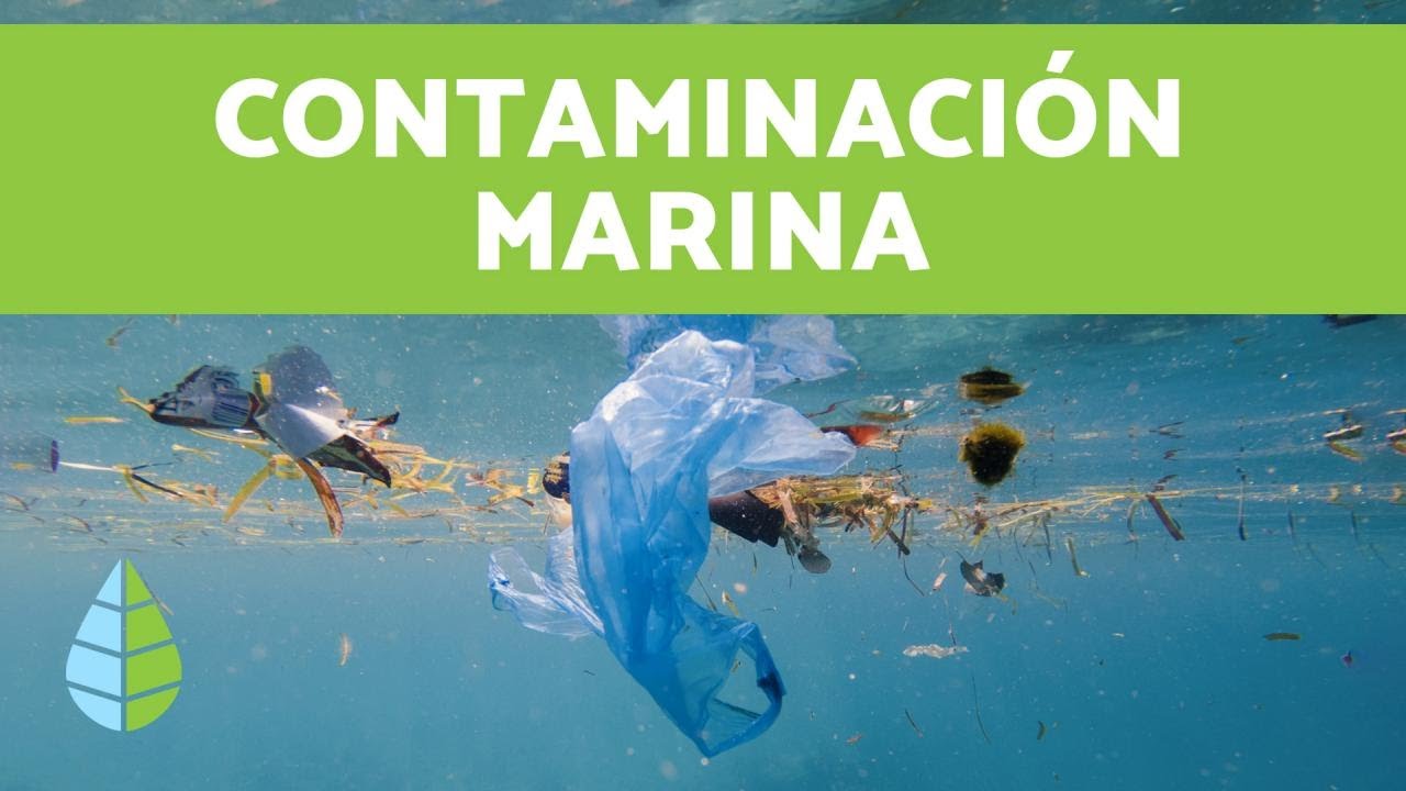 CONTAMINACIÓN MARINA - Causas y soluciones