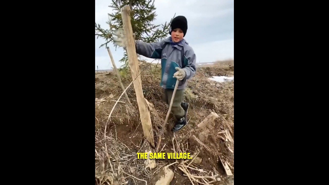 Подросток освобождает волков — их реакция невероятна! 🐺❤️