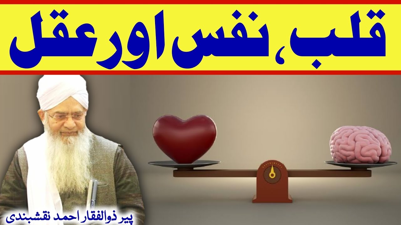 Qalb, Nafs Aur Aqal ● قلب نفس اور عقل ● Peer Zulfiqar Ahmad Naqshbandi