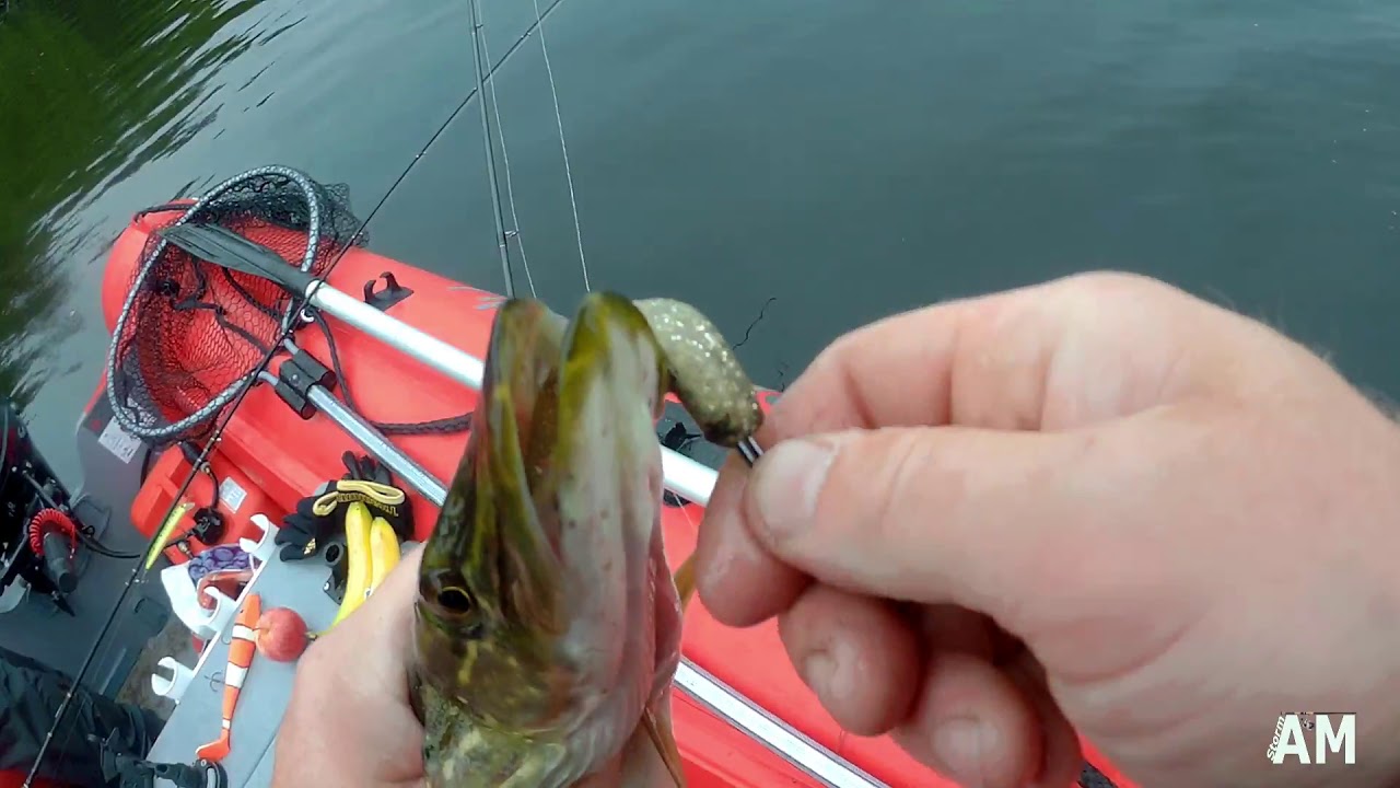 Pike fishing in Co Cavan