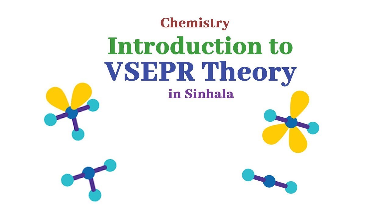 VSPER Theory Sinhala BST/EGT