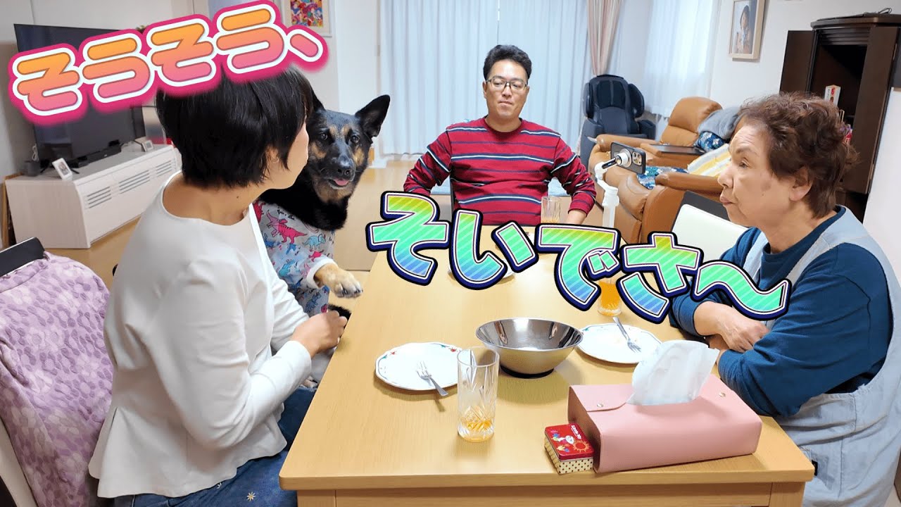 実家でおやつタイムしたら、愛犬が会話にめっちゃ参加してくる…w【ジャーマンシェパード】