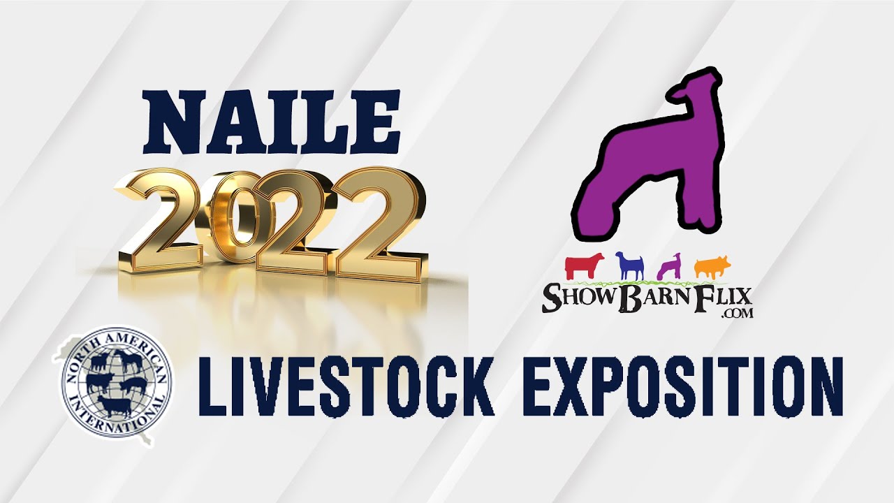 Jr. Breeding Sheep Showmanship - NAILE 2022!
