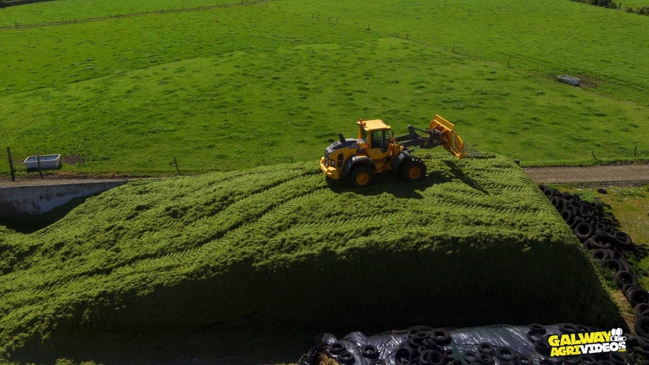 Silage 2021 - E. Sweeney Agri