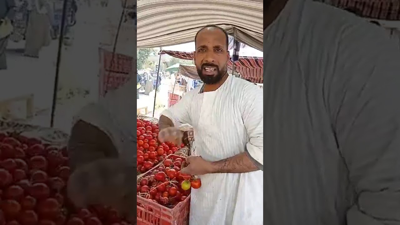 المجنونة 30 جنيه للكيلو.. تعرف علي أسعار الخضروات والفاكهة بالسوق الأسبوعي بقنا