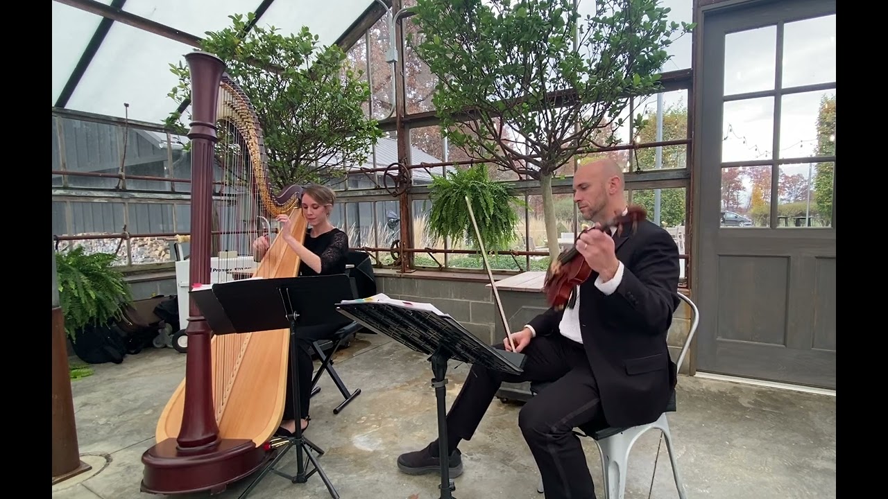 I See The Light from Disney's Tangled ~ Columbus Musicians, LLC harp and violin duo