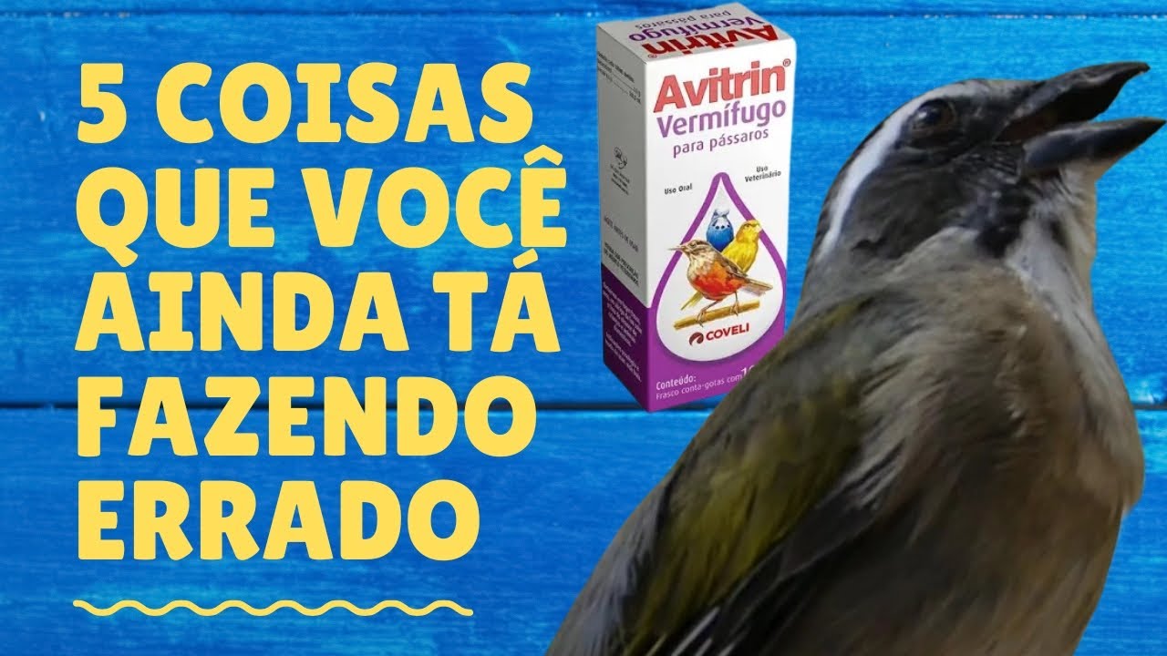 SE O MANSARRÃO FOR BOM ELE VAI CANTAR DESSE JEITO O SEU FAZ ISSO?