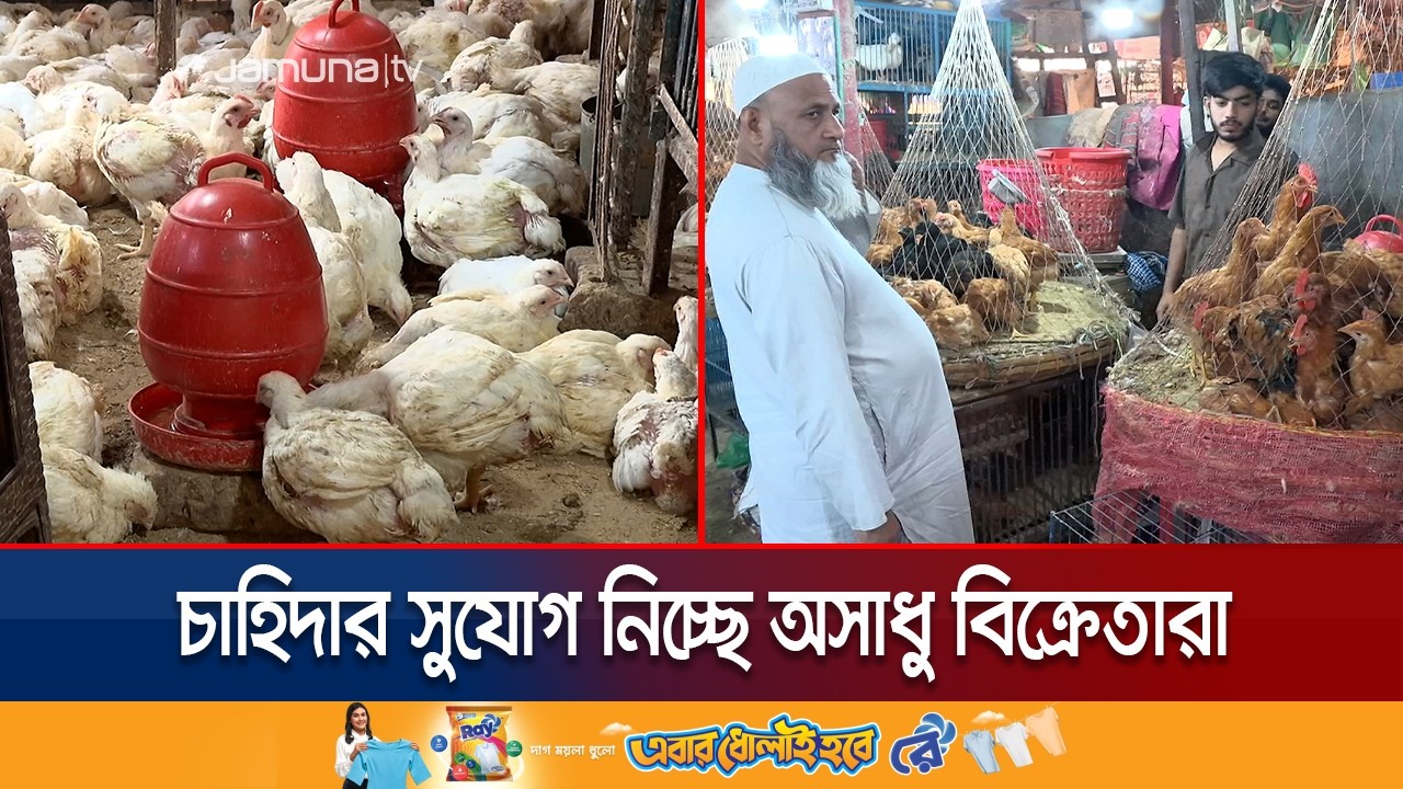 চাহিদা কমলেও কেজিতে ৩০ টাকা বাড়তি দামে বিক্রি হচ্ছে ব্রয়লার মুরগি | Poultry Price | Jamuna TV