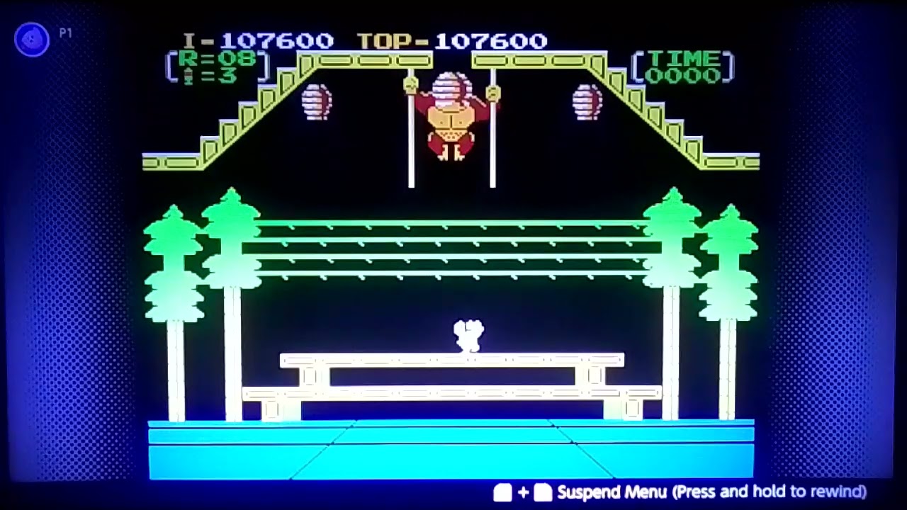Donkey Kong 3#