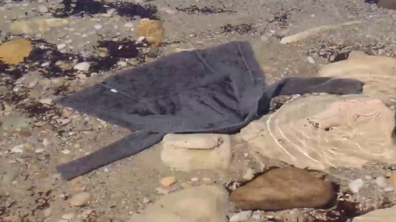 Dikili, Turkey  #savepassage