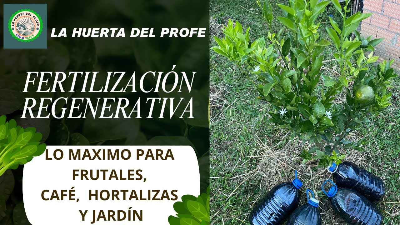 FERTILIZACIÓN REGENERATIVA... LO MÁXIMO PARA FRUTALES, CAFÉ, HORTALIZAS Y JARDÍN