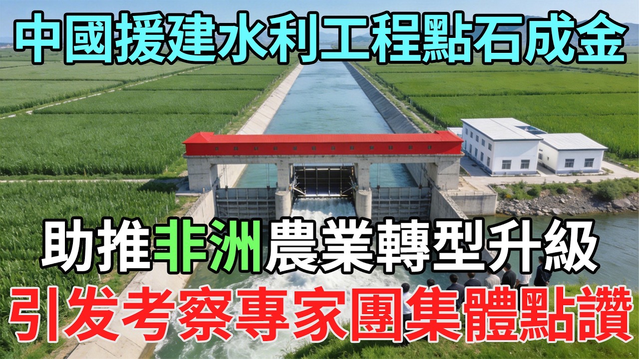 荒漠變綠洲！中國技術破解非洲灌溉难題催生新產業，聯合考察團直呼震撼#大國工程#非洲基建#水利奇蹟#中國建造#海外工程