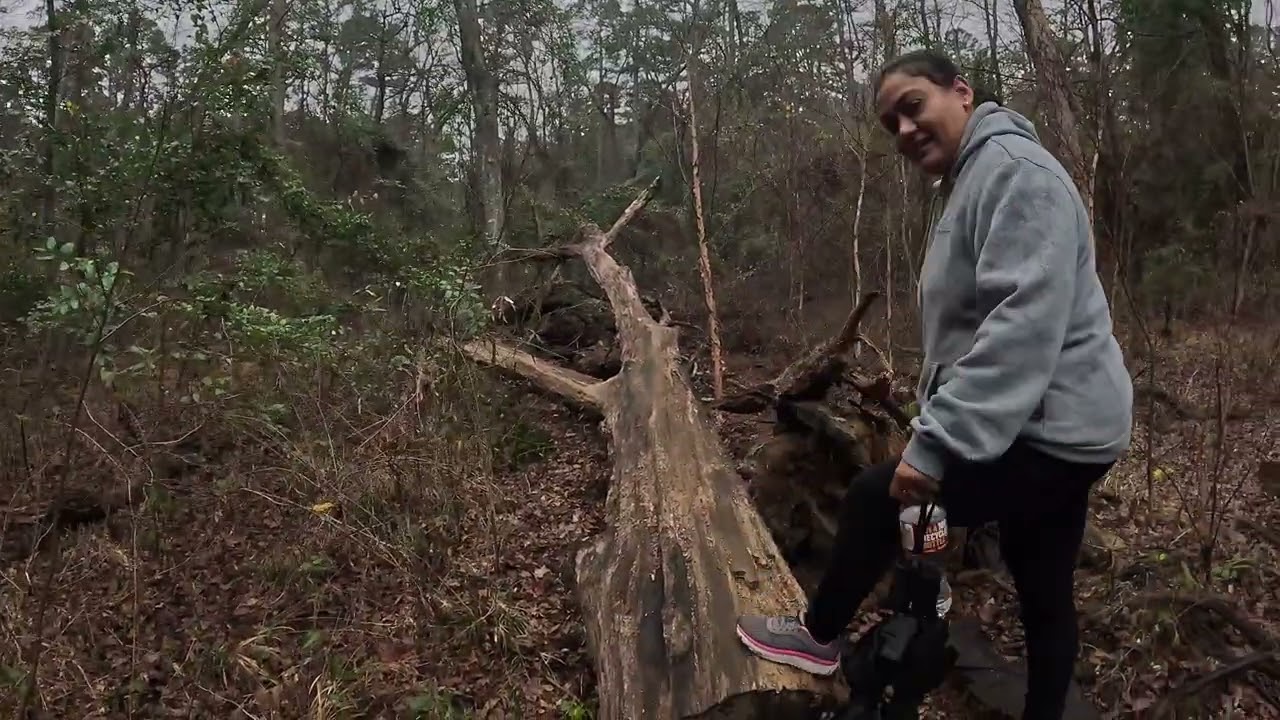 Hike - lake trail 2
