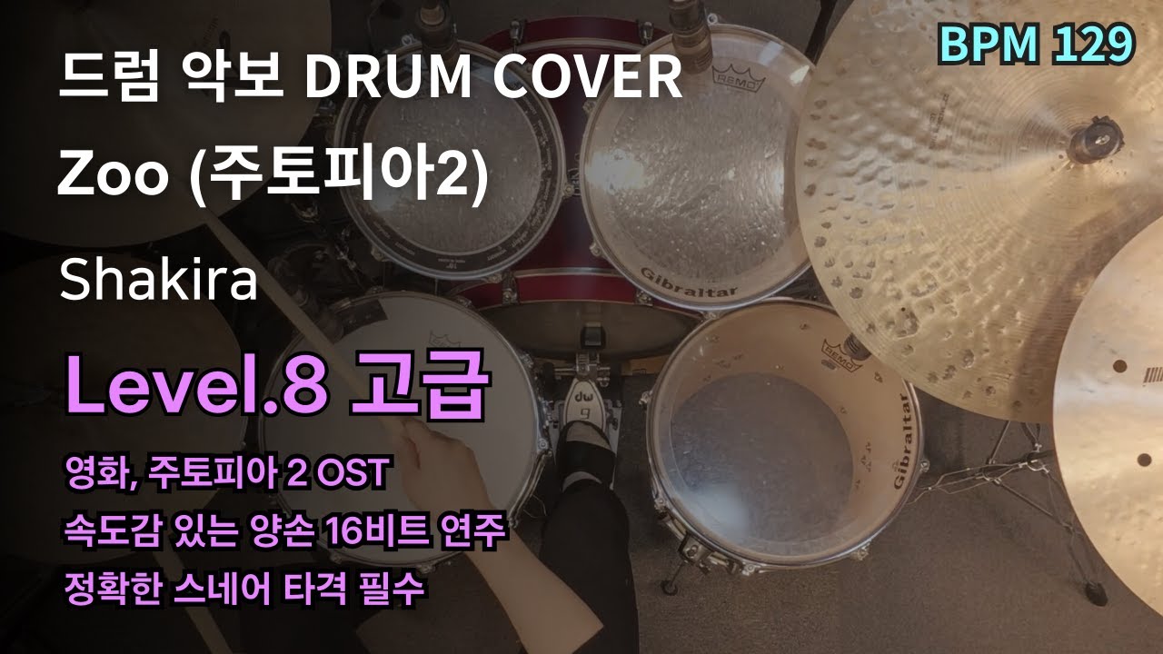 닉이랑 주디 보고 온 사람?!🐰🦊🐍 Shakira - Zoo (주토피아2 OST) 드럼 연주, 드럼 악보 커버 (Drum Cover)