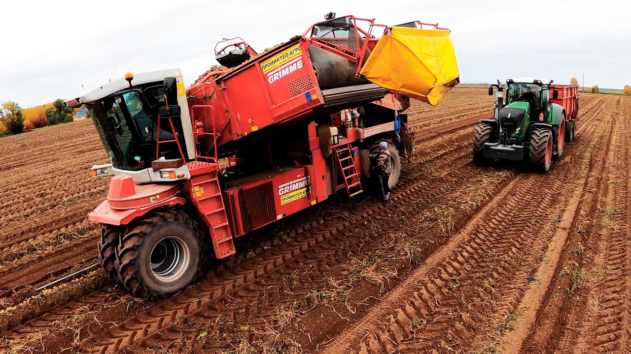 Это вам не СССР!!! Уборка картофеля в 21 веке на Grimme SF 150-60.