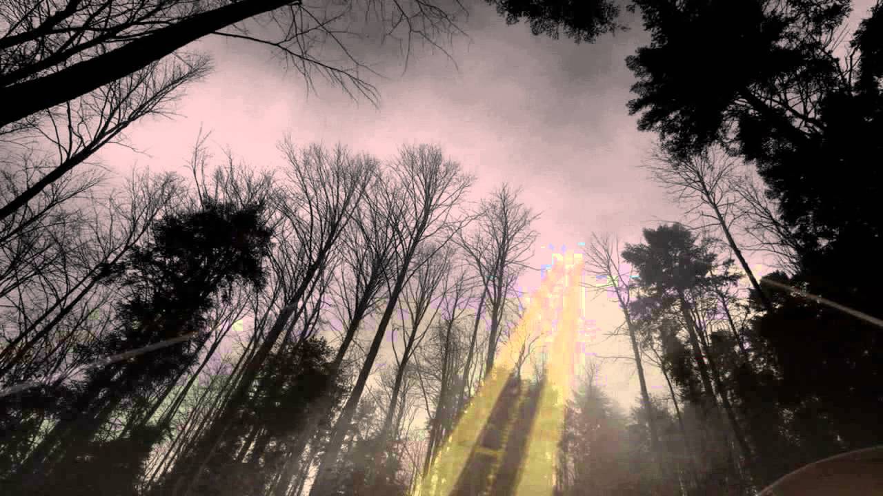 Creepypasta 3x09 - Lo que ronda por los bosques.