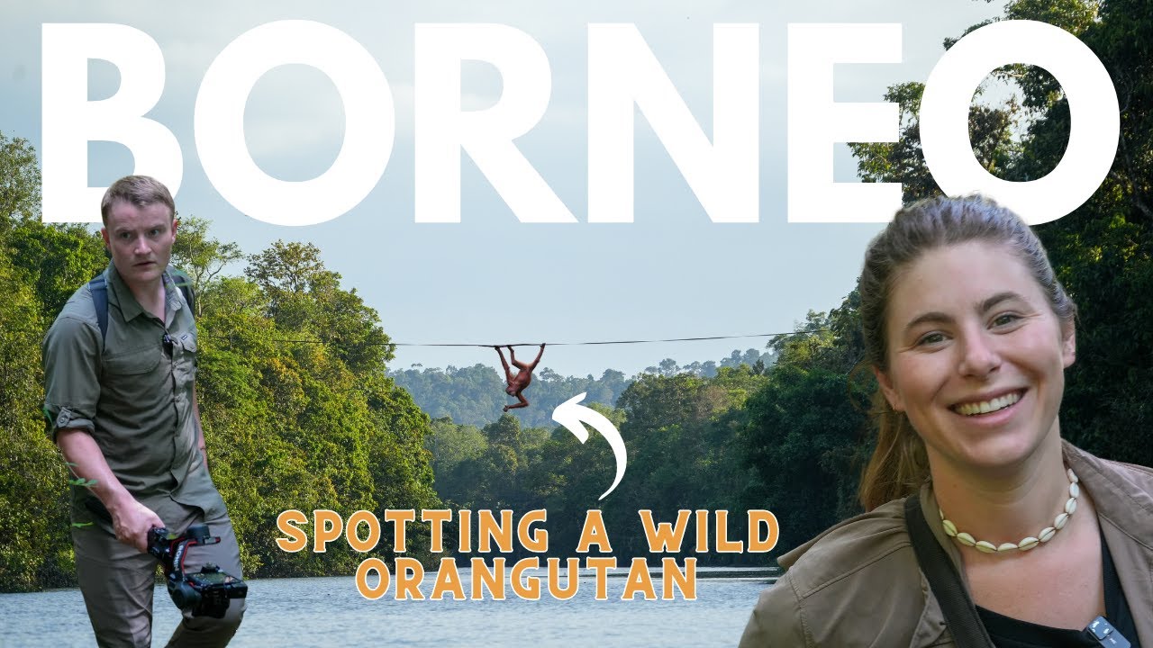 INCREDIBLE Wildlife in MALAYSIA 🇲🇾 Kinabatangan River Cruise | Adventure SAFARI SABAH-  S5E3