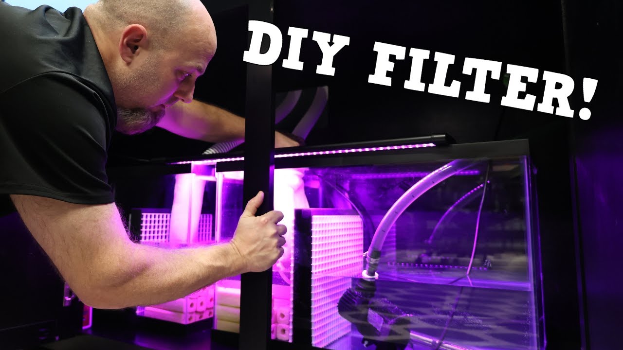 How To Build An Aquarium Filter Cheap (Part 1-2)