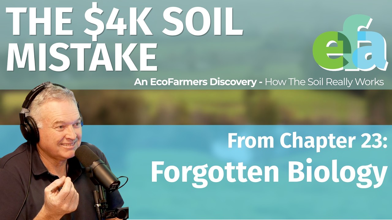 Nature’s Nitrogen Factory: What Farmers Are Missing